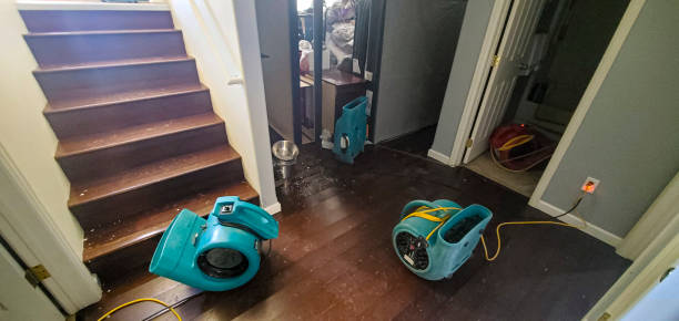 Best Water damage cleanup near me  in Lakeview Estates, GA