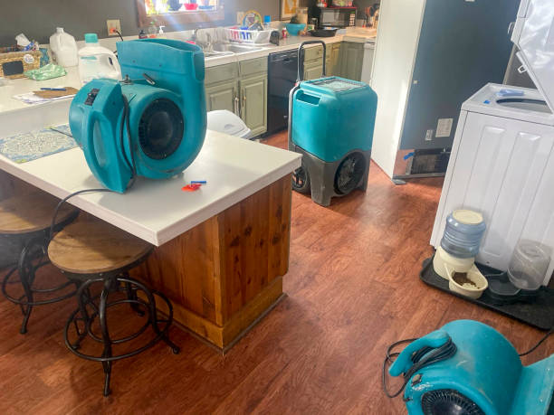 Best Residential water damage restoration  in Lakeview Estates, GA
