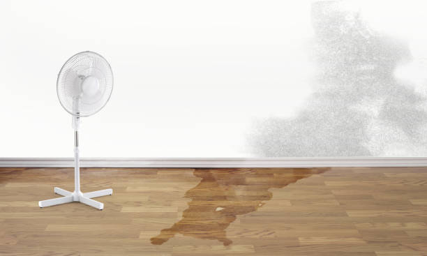 Best Ceiling water damage repair  in Lakeview Estates, GA